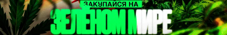 ЗМ